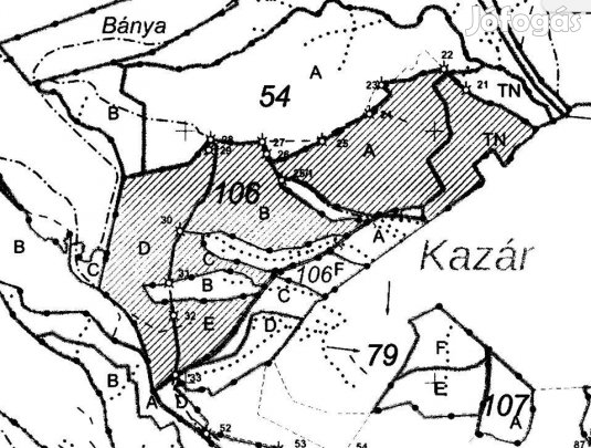 Eladó kazári erdő faállomány és terület egyben