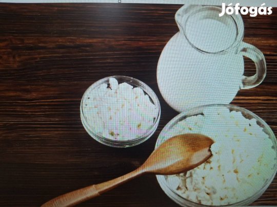 Eladó kefírgomba