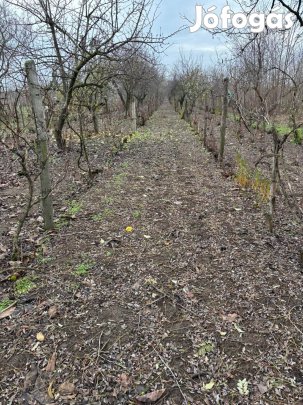 Eladó kert felújítandó házzal