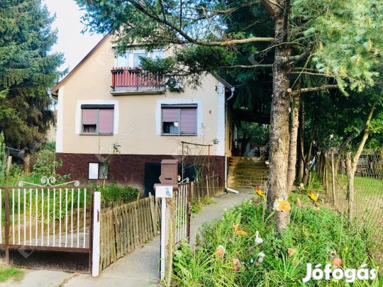 Eladó két generációs családi ház Nemesdéden!