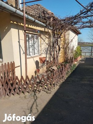 Eladó két különálló ház egy telken Nyíregyháza-Alsópázsit városrészben