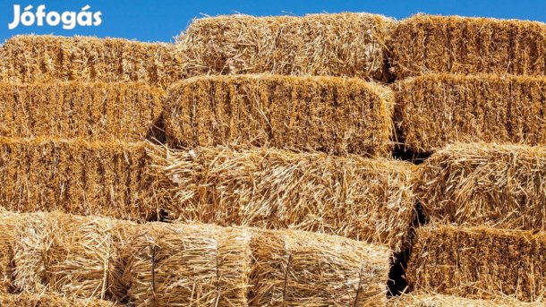 Eladó kisbálás szalma