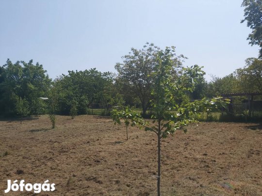 Eladó kiskert/telek Szombathely-Parkerdő