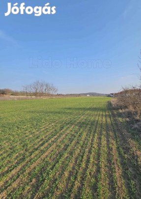 Eladó kiváló fejlesztési lehetőség Győrújbarát külterületén  1