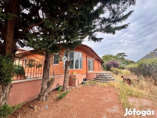 Eladó könnyűszerkezetes, 2 lakásos ház, Nagytarcsa