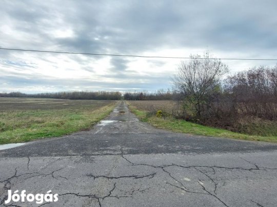 Eladó külterületi-mezőgazdasági terület Harkány! 14773 m2