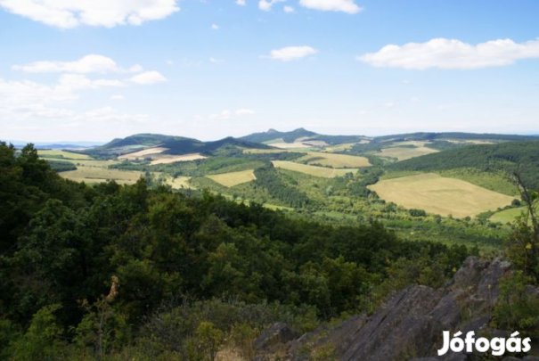 Eladó külterületi telek Bér településen  kiváló befektetési