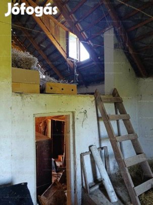 Eladó külterületi telek Farkas dűlő!