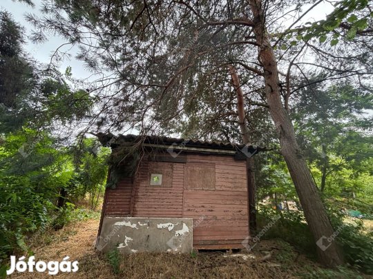 Eladó külterületi telek Monoron