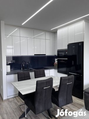 Eladó lakás Damjanich Lakóparkban
