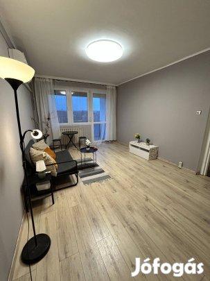 Eladó lakás Sárberekben