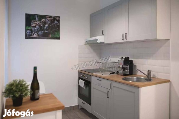 Eladó lakás, Budapest, 7. kerület  Erzsébetváros (Nagykörúton  36243_v