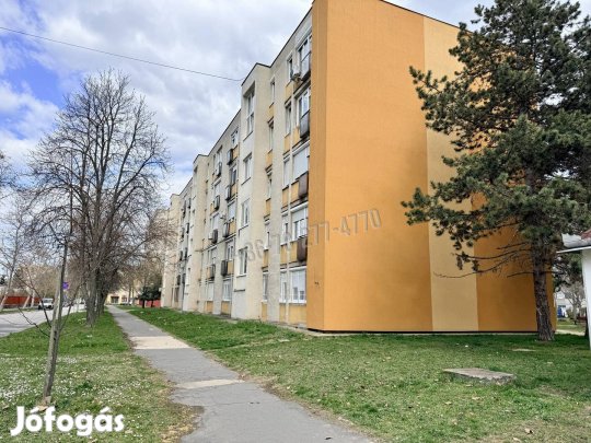 Eladó lakás, Oroszlány Újváros, Népek barátsága utca, 29800000  213_tl