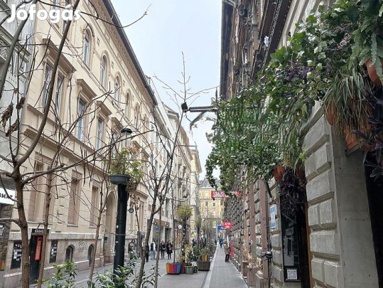 Eladó lakás - Budapest VII. kerület, Kazinczy utca