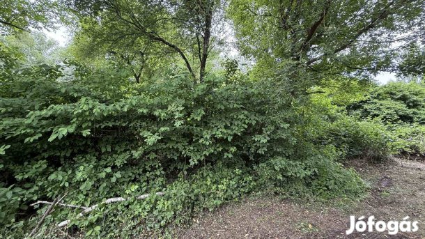 Eladó legelő Balatongyörökön.