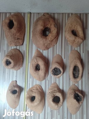Eladó lekérkezett fa göcsökök egyben Zalaegerszegen