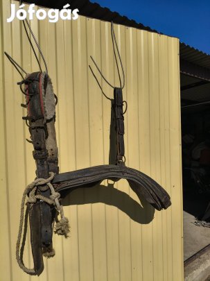 Eladó ló. csikó hám.