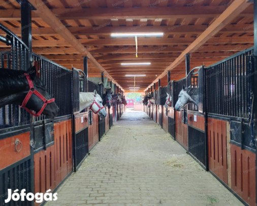 Eladó lovarda Nyíregyháza