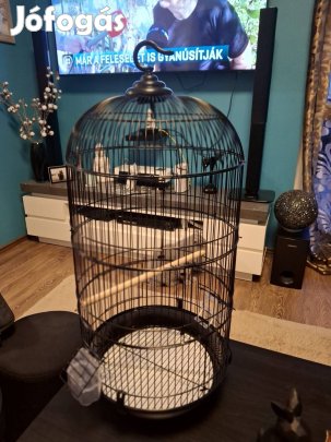 Eladó madár kalitka