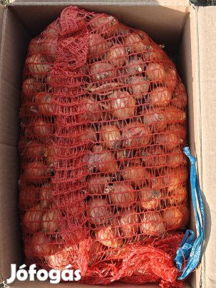 Eladó makói piklesz dughagyma