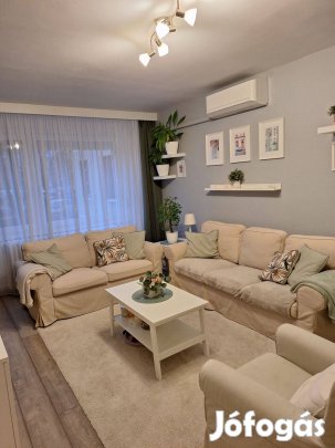 Eladó meghitt hangulatú panellakás