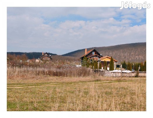 Eladó mezőgazdasági, Alsópetény Alsópetény, 58900000 Ft, 1027  129_nog