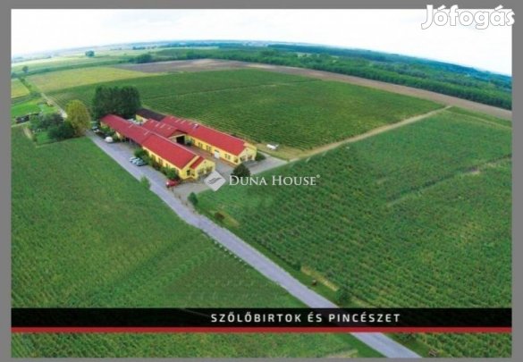 Eladó mezőgazdasági, Baja