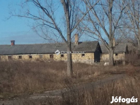 Eladó mezőgazdasági, Bodajk