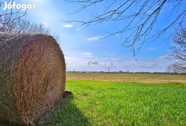 Eladó mezőgazdasági, Forráskút Forráskút, 26900000 Ft, 85 nm 122_fwh