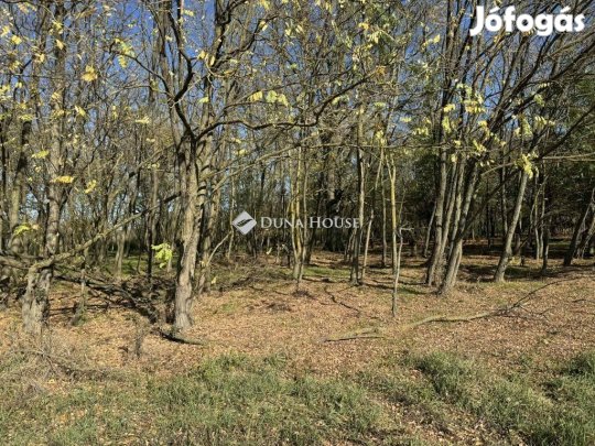 Eladó mezőgazdasági, Harkány