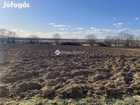 Eladó mezőgazdasági, Hásságy