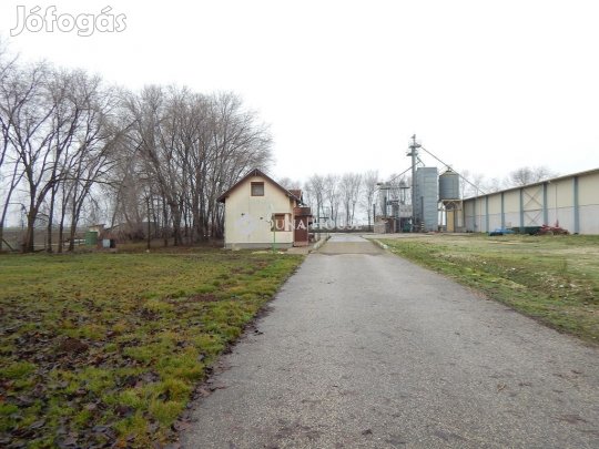 Eladó mezőgazdasági, Káloz