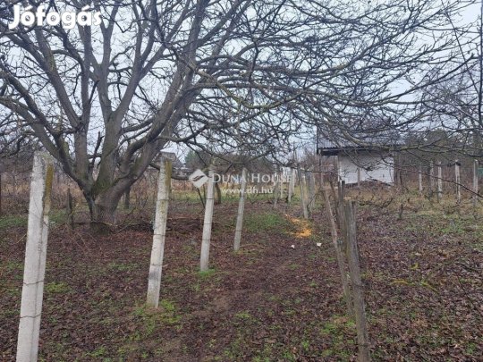 Eladó mezőgazdasági, Monor