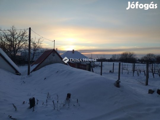 Eladó mezőgazdasági, Monor