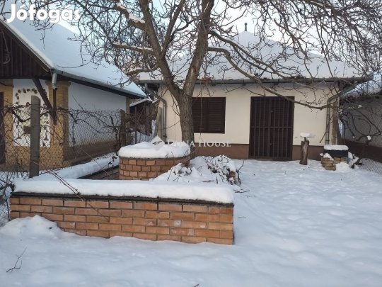 Eladó mezőgazdasági, Monor