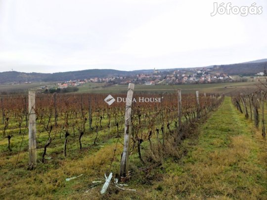 Eladó mezőgazdasági, Nadap