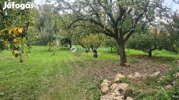 Eladó mezőgazdasági, Pellérd