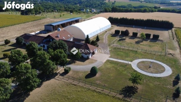 Eladó mezőgazdasági, Pogány