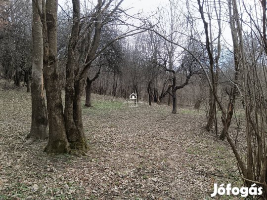 Eladó mezőgazdasági, Pusztamagyaród Pusztamagyaród, 8000000 Ft, 72_jin