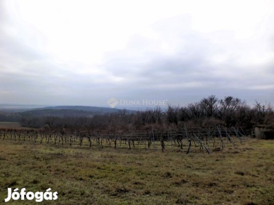 Eladó mezőgazdasági, Sukoró