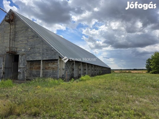 Eladó mezőgazdasági, Szabadbattyán