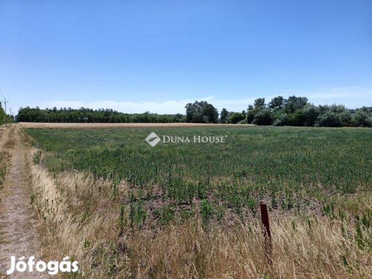 Eladó mezőgazdasági, Szeged