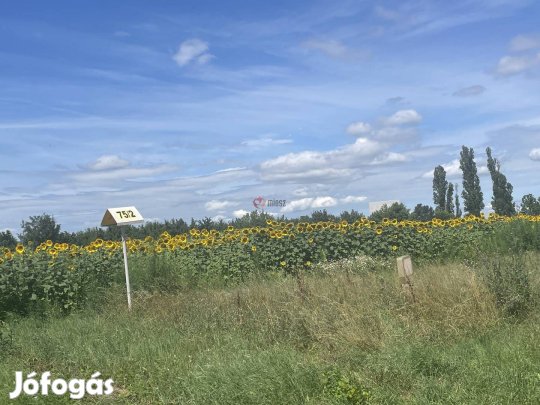 Eladó mezőgazdasági, Székesfehérvár Déli ipari zóna, 75000000 Ft 24_rd