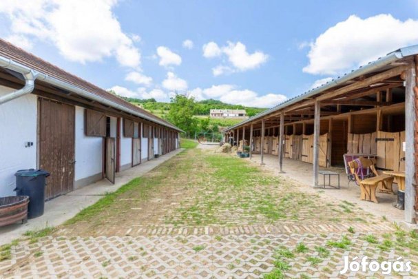 Eladó mezőgazdasági, Szekszárd, 72000000 Ft, 350 nm 997_sri