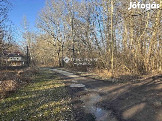 Eladó mezőgazdasági, Tiszatelek