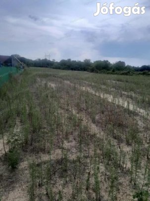 Eladó mezőgazdasági ingatlan Kecskemét, Ballószög
