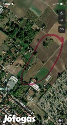 Eladó mezőgazdasági ingatlan Kecskemét, Hunyadiváros