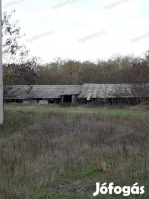 Eladó mezőgazdasági ingatlan Lajosmizse, Alsólajos tanya