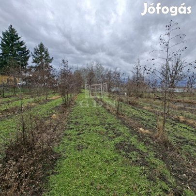 Eladó mezőgazdasági terület Nagyigmánd, Bajcsy-Zsilinszky utca