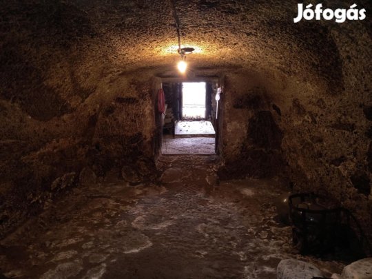 Eladó mezőgazdasági terület, Andornaktálya